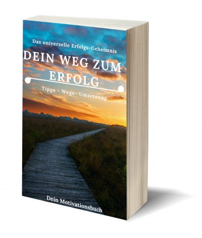 Dein Weg zum Erfolg PLR