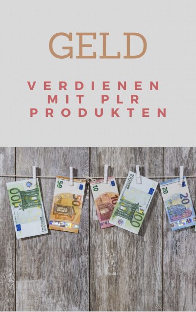 Geld verdienen mit PLR Produkten (PLR Rechte)