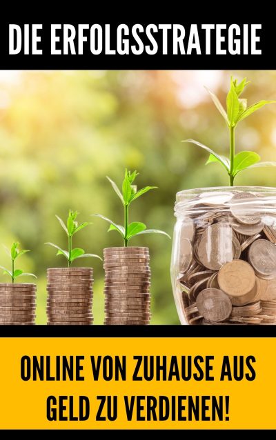 Die Erfolgsstrategie um Online von Zuhause aus Geld zu verdienen! - PLR Rechte